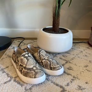 Steve Madden Snakeprint slip on shoes